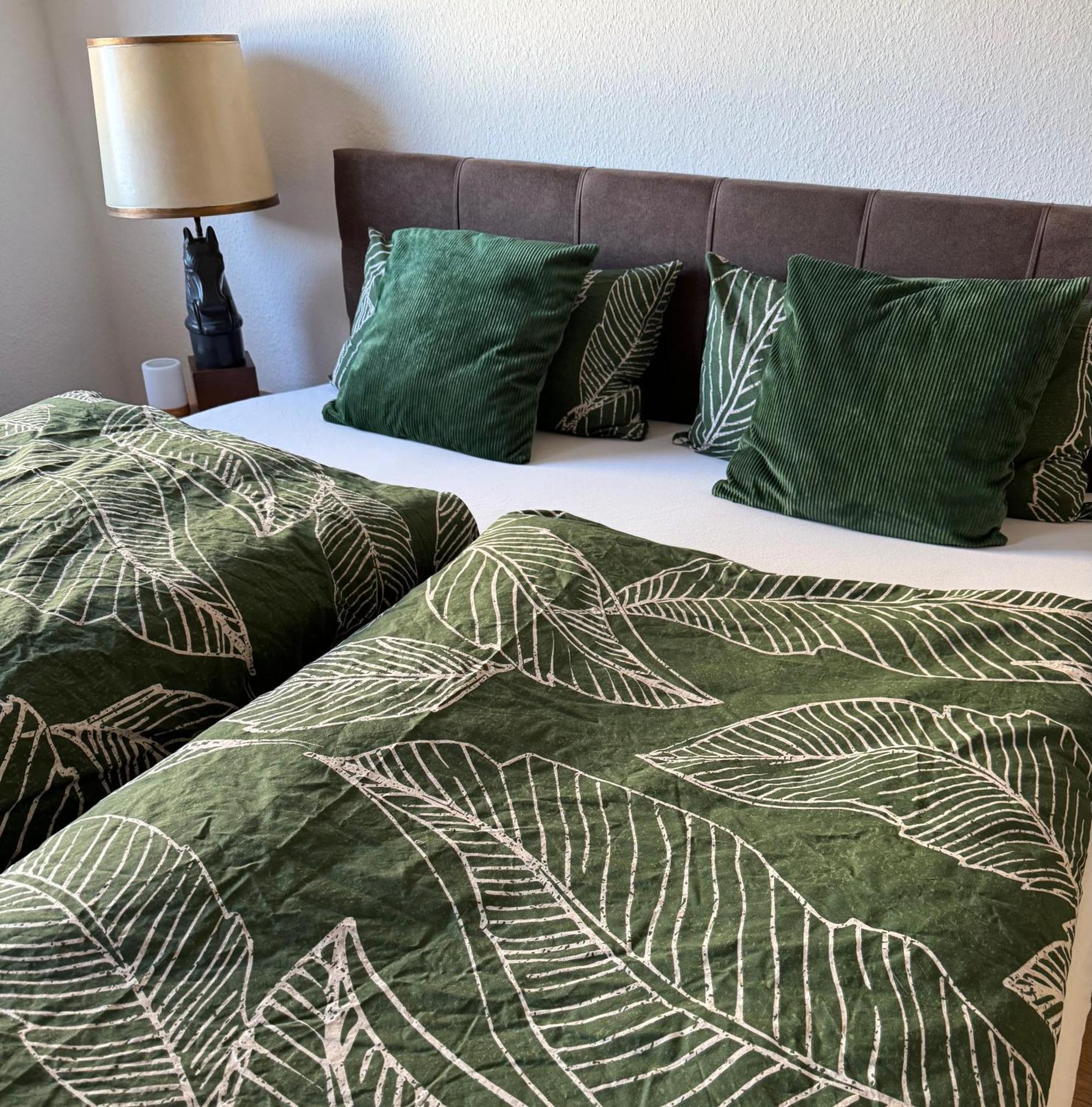 Schoene Mit Kostenlosem Parkplatz Apartment *